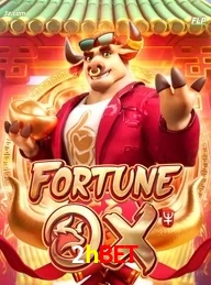2hbet cassino online Brasil apresenta Fortune Ox jogo de slots